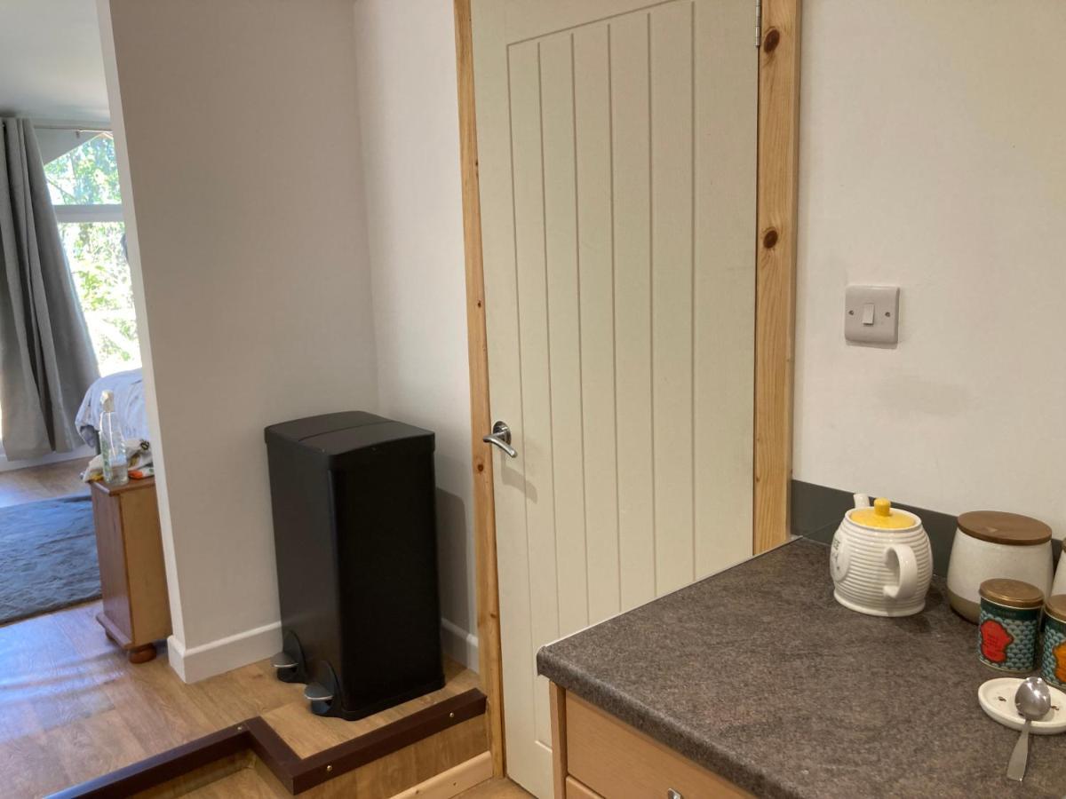 Honey Bee Cabin Llandysul 외부 사진
