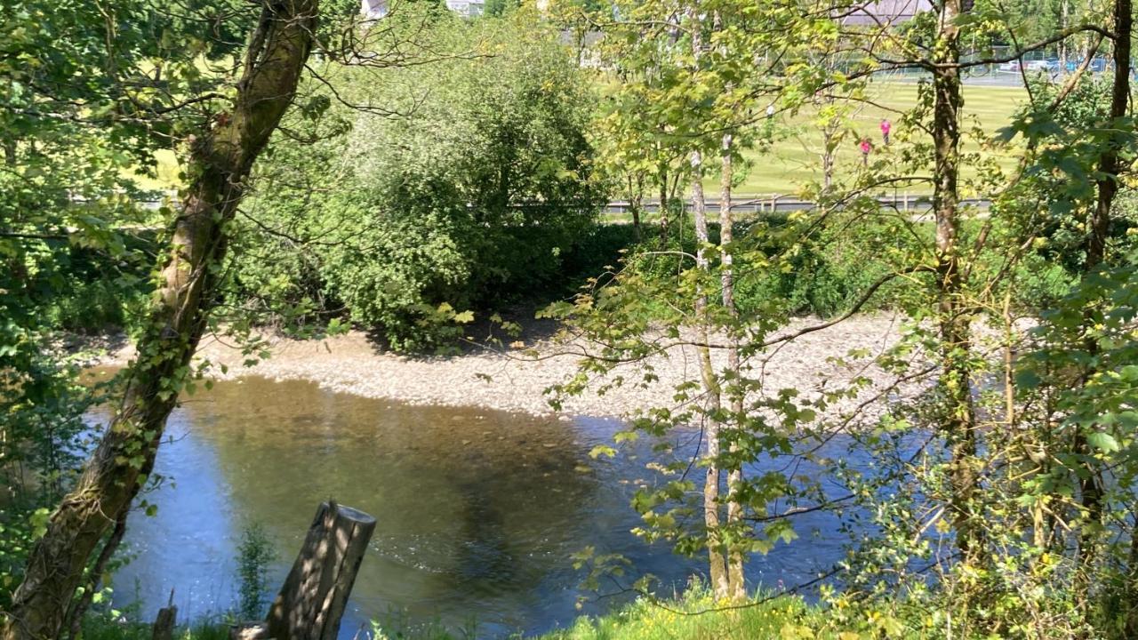 Honey Bee Cabin Llandysul 외부 사진